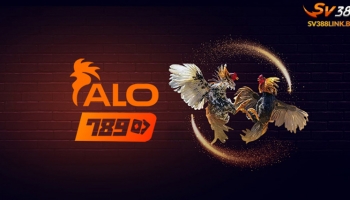 Các bước đăng ký tài khoản alo789 để chơi cá cược đá gà