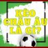 Giải đáp: Trong cá cược bóng đá kèo 1/ 4 là gì?